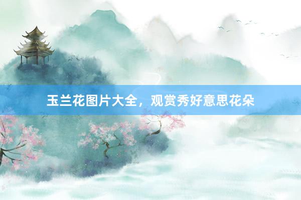 玉兰花图片大全，观赏秀好意思花朵